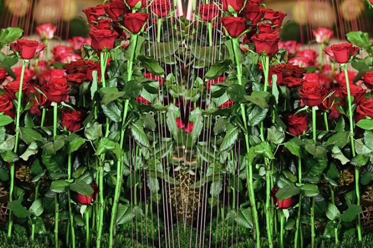 Workshops & Floral Design Course