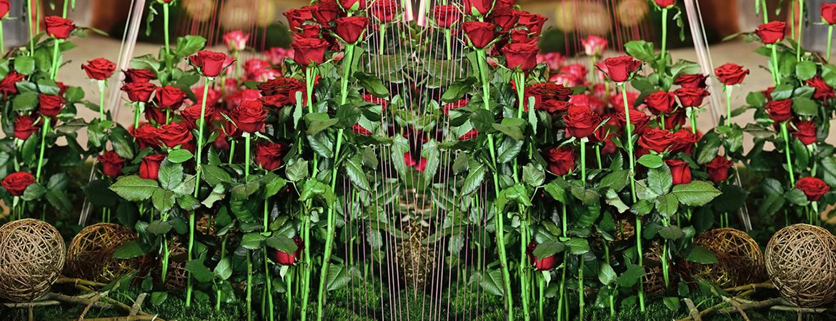 Workshops & Floral Design Course