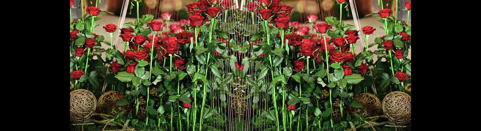 Workshops & Floral Design Course